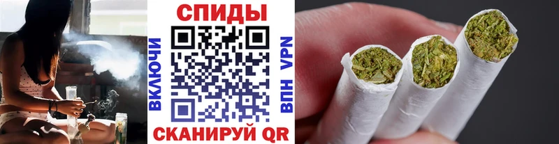 Бутират буратино  Стародуб 