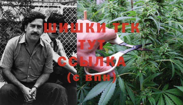 тгк Балабаново
